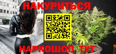 стафф Гусев