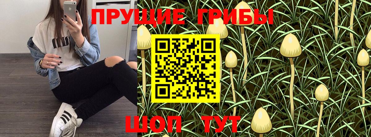 Можга  Галлюциногенные грибы мухоморы  Вход с VPN 